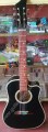 Guitarra Texana negra 1